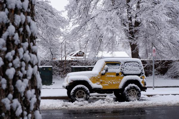 Snowy Boulder 2020